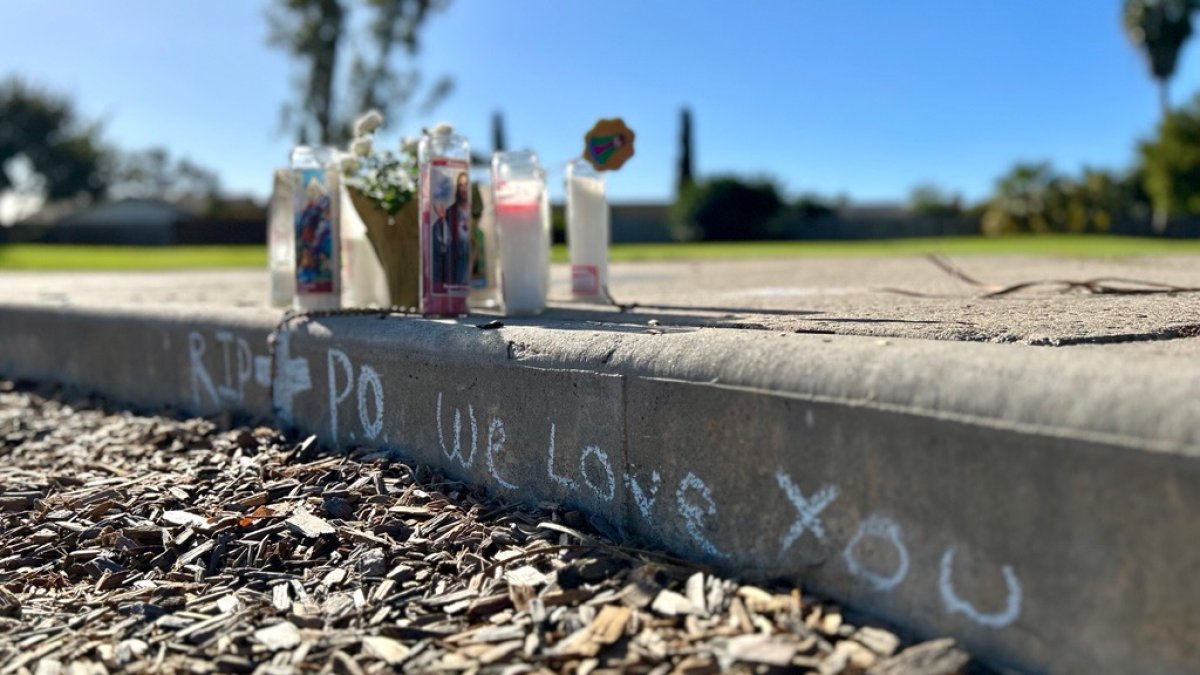 Dogs euthanized after fatal attack on their owner at Mira Mesa park ...