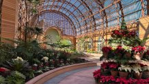 The Botanic Building at Balboa Park reopened Friday, Dec. 6, 2024