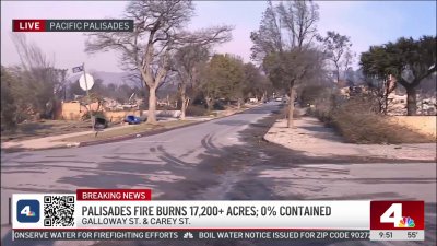 ‘Everything is gone': Reporter shows devastation in Pacific Palisades