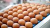 Happy Hens eggs source of Salmonella outbreak from Ramona deli's mayonnaise, county says