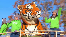 The San Diego Zoo's float at the 2025 Rose Parade on Jan. 1.