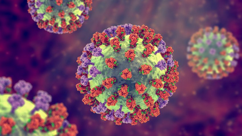 Flu virus, illustration