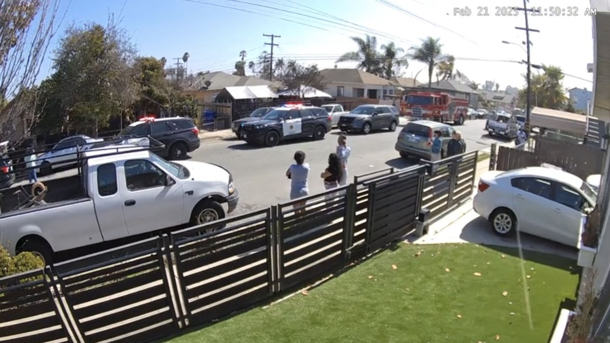 Woman severely injured after being attacked by dog in Grant Hill – NBC ...