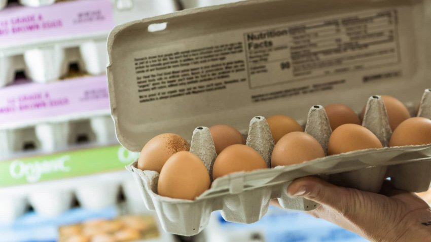 [CNBC] How much eggs cost every year since 1980—in one chart