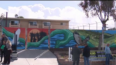 New mural brightens stretch of Clairemont