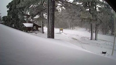 Places to see snow in San Diego and Tijuana 2025 – NBC 7 San Diego