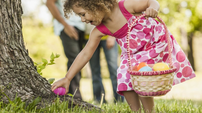 Easter egg hunt