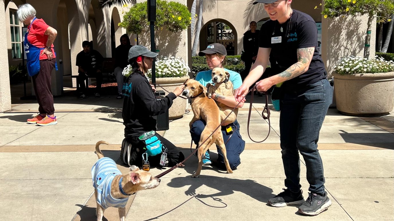 California Humane Police San Diego Humane Society celebrates Summer Pet-tacular theme at 2025 ...