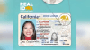 San Diego Airport officials encourage early arrival as REAL ID approaches