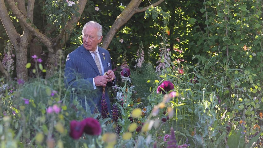 King Charles III, patron of the Royal Horticultural Society, walks through the RHS and BBC Radio 2 Dog Garden during a visit to the RHS Chelsea Flower Show at Royal Hospital Chelsea on May 20, 2025 in London, England.