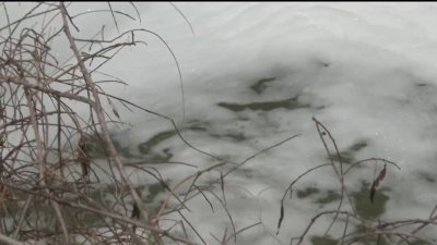 San Diego leaders ask White House to declare emergency over Tijuana River sewage