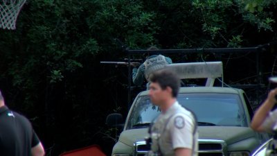 Three black bears killed following fatal attack on Florida man and dog 