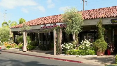 Salmonella outbreak at Aladdin Cafe grows to 98 probable, confirmed cases: County health dept.