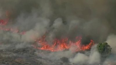 Brush fire burns nearly 50 acres near San Pasqual Academy in North County