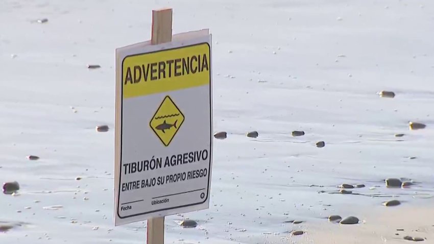 Warning signs posted at Torrey Pines State Beach after shark ‘bumps' swimmer