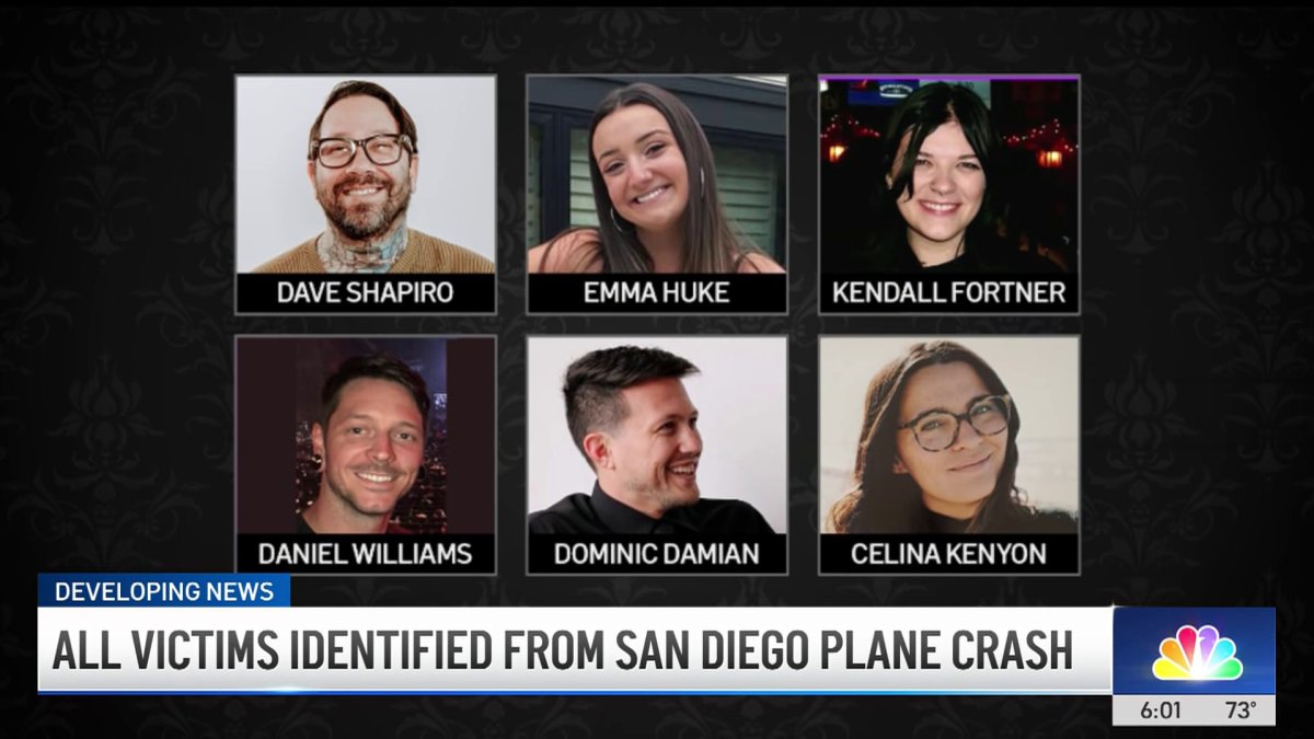 Lo que se sabe de las víctimas del accidente aéreo de San Diego – NBC 7 ...