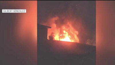Good Samaritan helps rescue family, dogs from San Diego home hit by jet