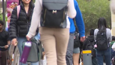 Local impacts of Trump's pause of visa interviews for new international students