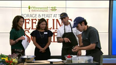 Olivewood Gardens hosts its 2025 Seedling Soirée