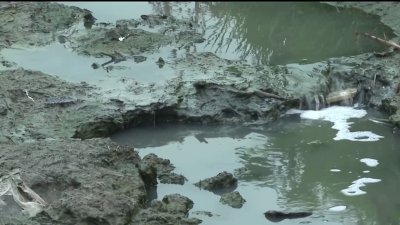 Sen. Cory Booker visits Imperial Beach to see the Tijuana River sewage crisis