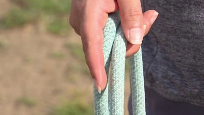 Grand jury report raises concerns with San Diego's leash law enforcement