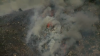 Watch LIVE: Brush fire breaks out near Safari Park in North County