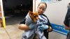 San Diego Humane Society cares for 41 pets removed from Escondido home