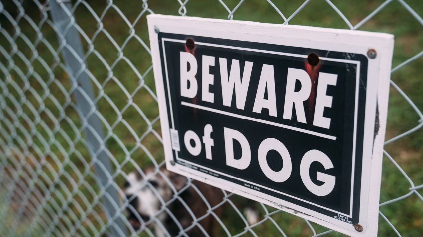 Beware of Dog Sign on Fence