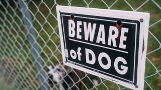 Beware of Dog Sign on Fence