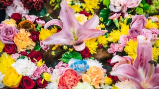 Generic flowers