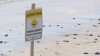 Warning signs posted at Torrey Pines State Beach after shark ‘bumps' swimmer