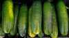 FDA recalls cucumbers due to multistate salmonella outbreak sickening over 20 people