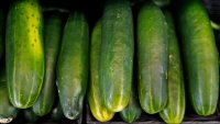 Cucumbers