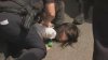 Video shows Massachusetts police hold girl's face on ground during apparent ICE operation