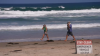 NOAA investigating badly decomposed whale that washed up on La Jolla Shores