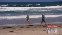 People react after a dead whale washed up in La Jolla Shores on May 14, 2025.