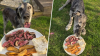 Texas Roadhouse fulfills customer's special request — his dog's last meal