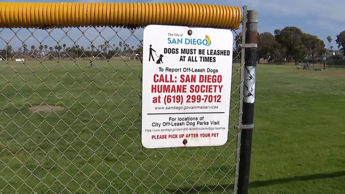 San Diego Leash Law Enforcement: Grand Jury Report