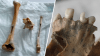 Skeletal remains found at Jersey Shore identified as 19th century boat captain