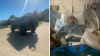 Texas high school student critically injured while playing ‘Senior Assassin' game