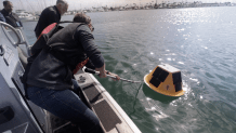 Crews from Hyper Kelp and the Port of San Diego deploy the first smart buoy into San Diego Bay.