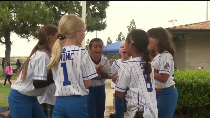 Equipment stolen from girls' youth softball team