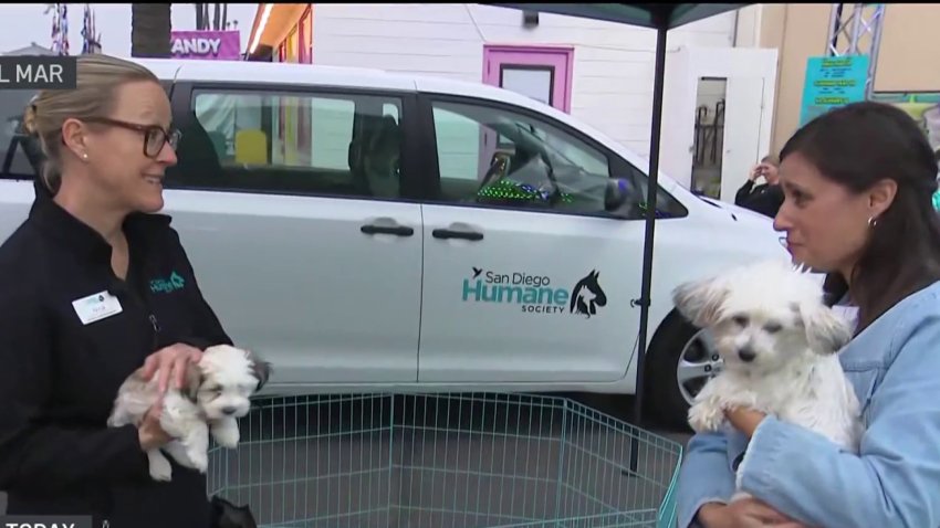 Pet-centric San Diego County Fair opens Wednesday