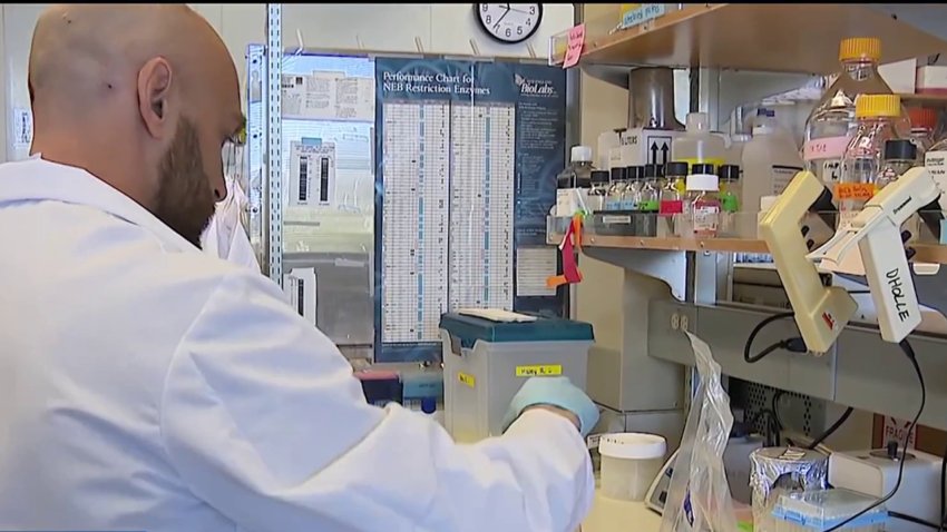 Salk Institute researchers make breakthrough discovery in breast cancer treatment