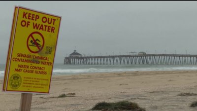 Despite continued beach closures, is there reason for optimism?