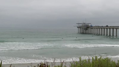 Scripps scientists using underwater microphones to monitor the ocean ecosystem