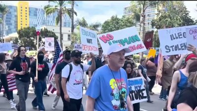 Political impact of “No Kings” protests