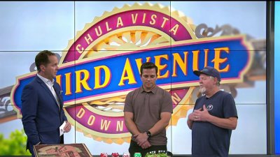 Free movies at Memorial Park in Chula Vista during summer
