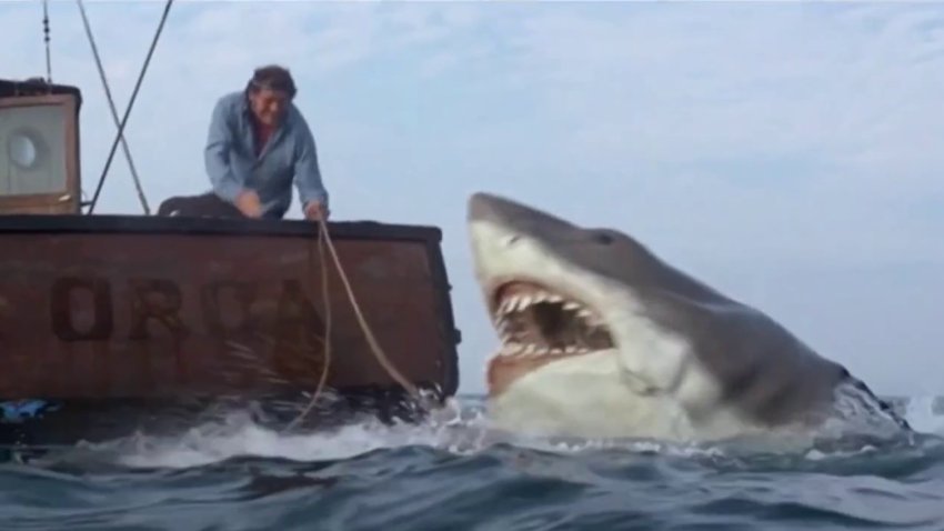 How ‘Jaws' sparked a legacy 50 years ago that changed the film industry