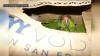 Man accused of smuggling exotic birds across border after parrots found in cardboard box